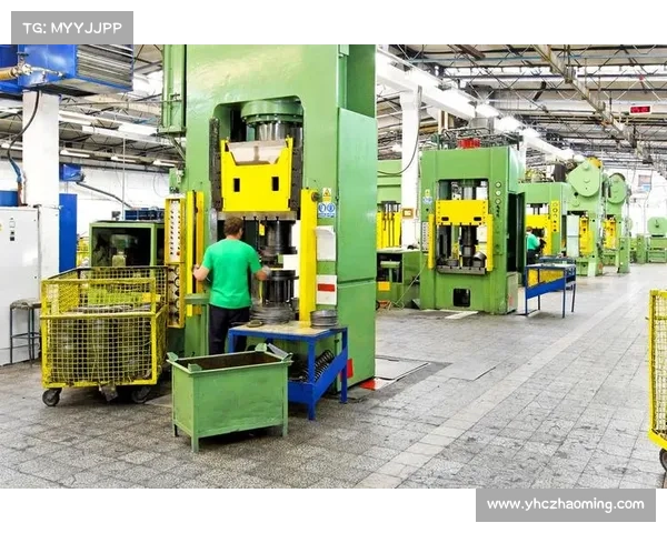 安联赞助助力品牌全球影响力提升与多元合作机会拓展